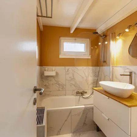 Duinenroos 코크시데